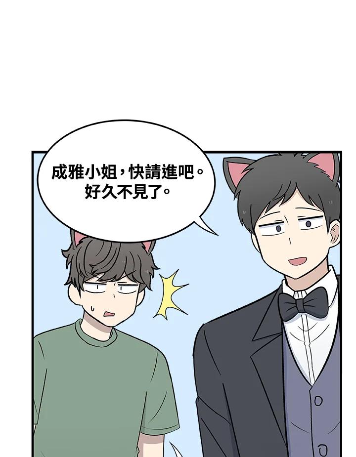 《喵星人管家》第28话 吉娃娃 第16页