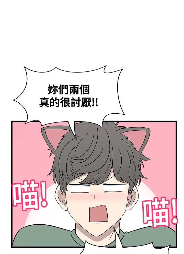 《喵星人管家》第28话 吉娃娃 第42页