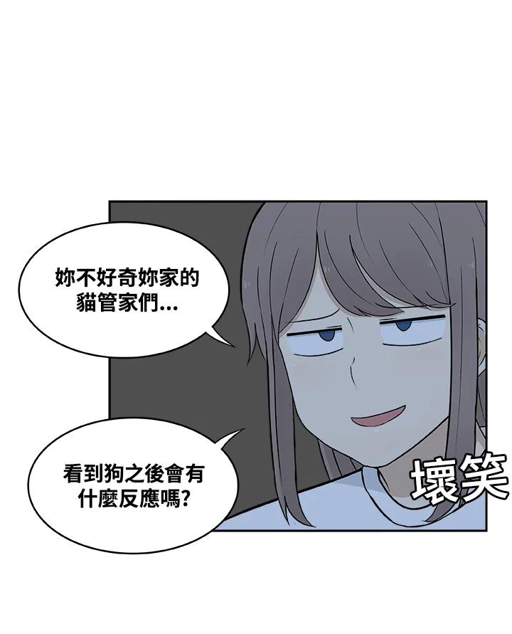 《喵星人管家》第28话 吉娃娃 第12页