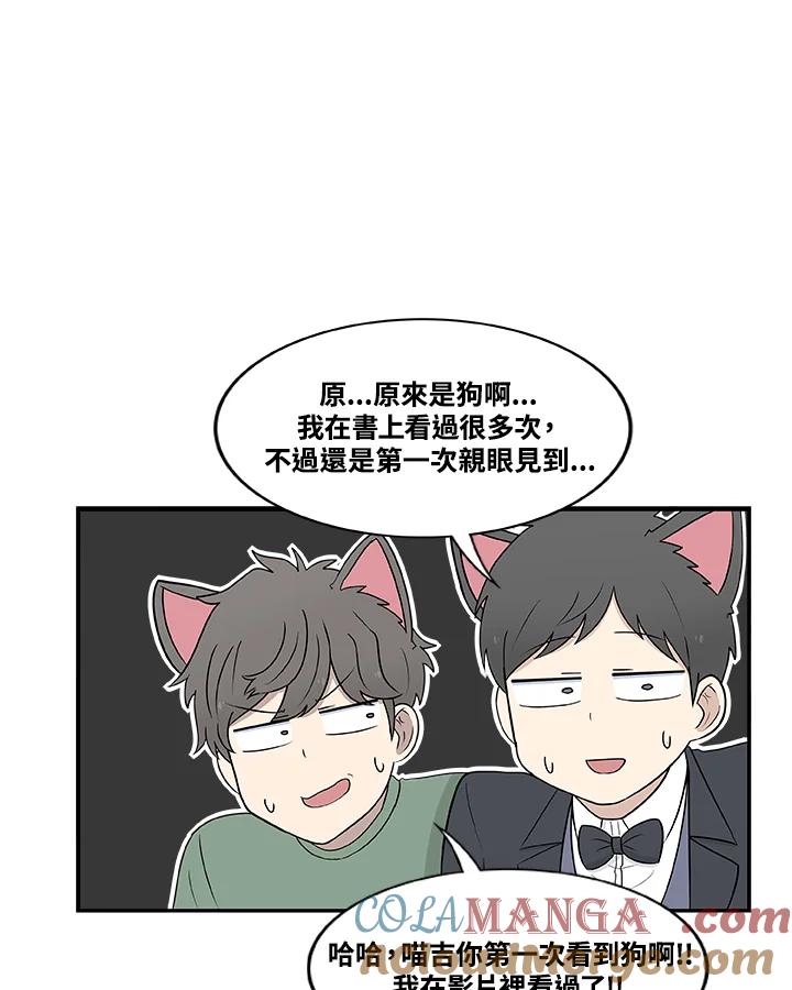 《喵星人管家》第28话 吉娃娃 第23页