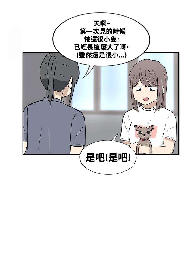 《喵星人管家》第28话 吉娃娃 第8页