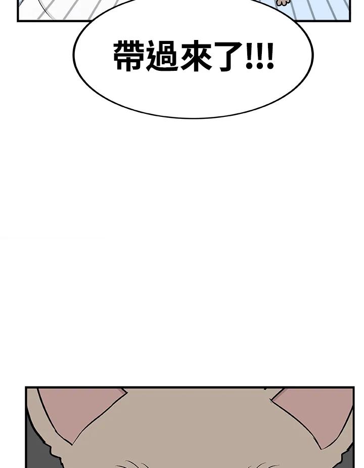 《喵星人管家》第28话 吉娃娃 第20页