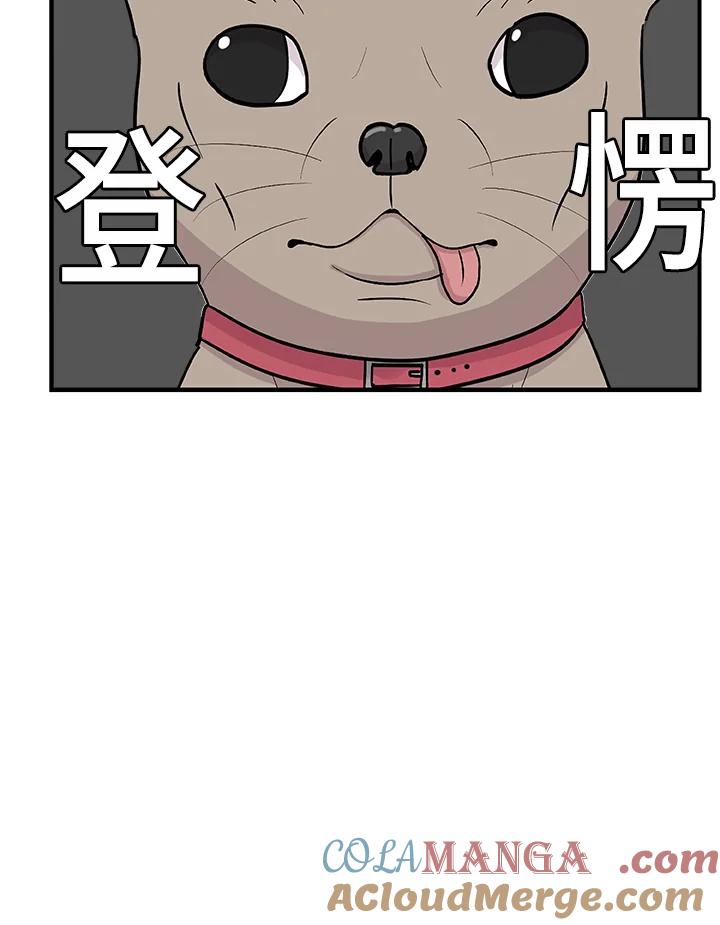 《喵星人管家》第28话 吉娃娃 第21页