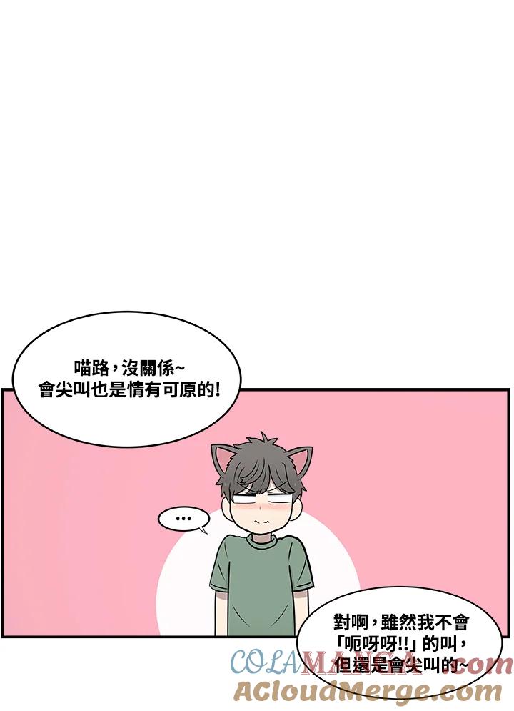 《喵星人管家》第28话 吉娃娃 第41页