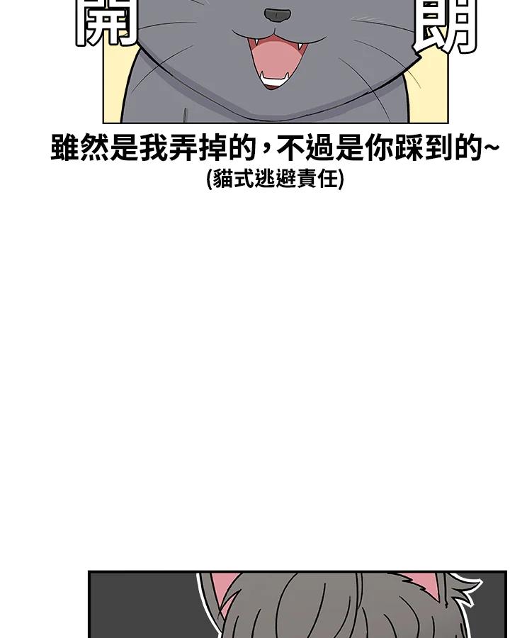 《喵星人管家》第30话 马卡龙 第27页