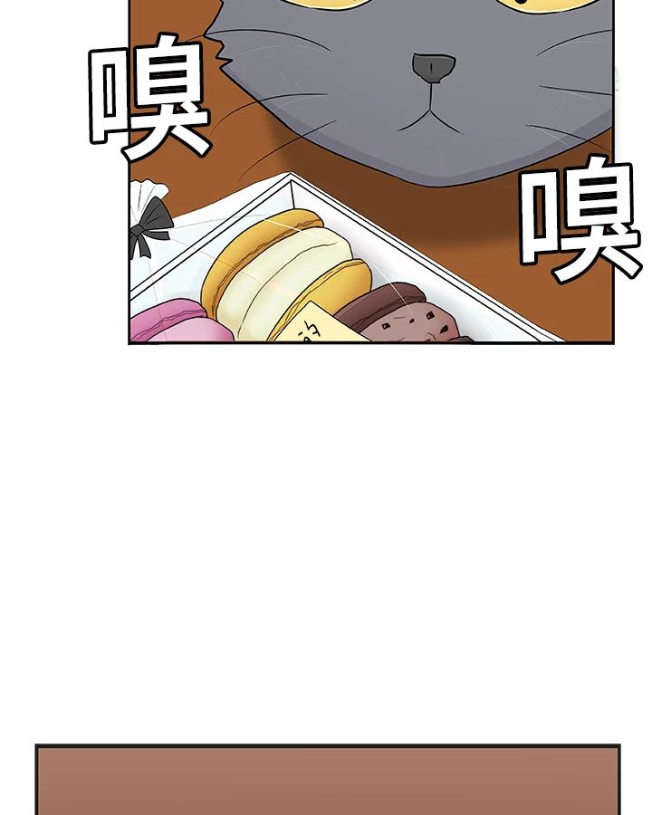 《喵星人管家》第30话 马卡龙 第15页