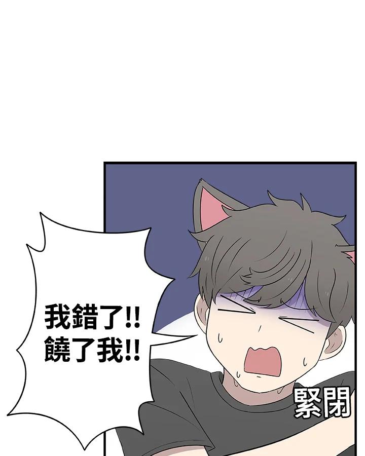 《喵星人管家》第30话 马卡龙 第38页