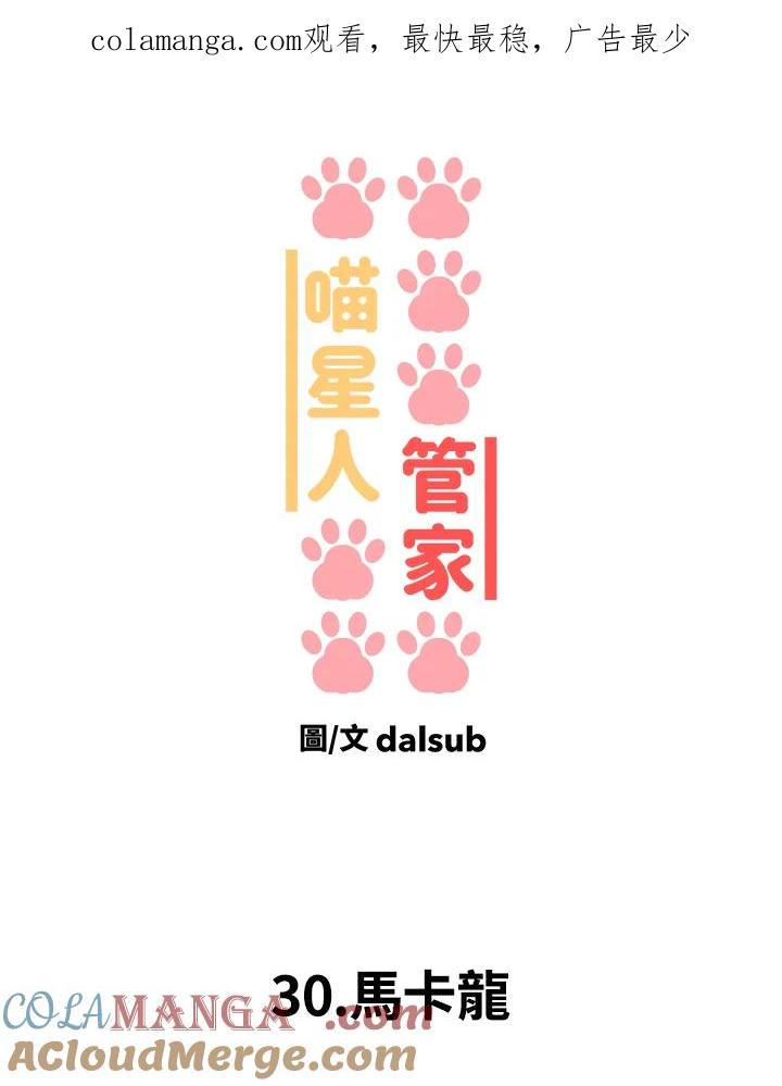 《喵星人管家》第30话 马卡龙 第1页