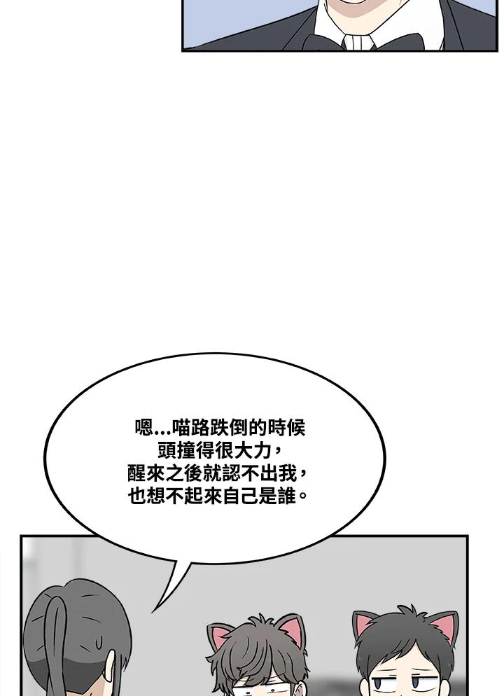 《喵星人管家》第31话 失忆 第36页