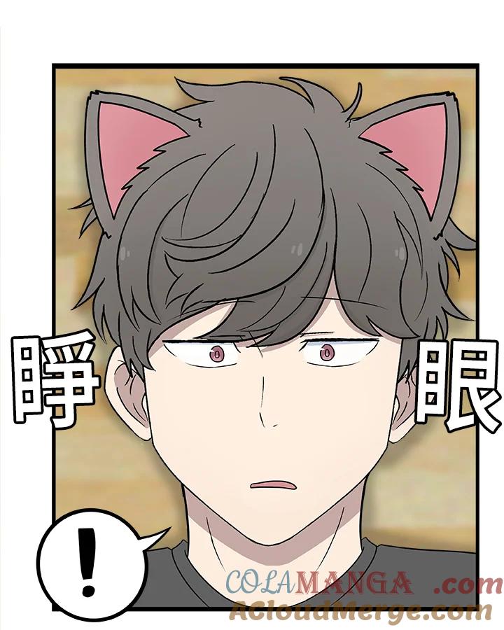 《喵星人管家》第31话 失忆 第13页