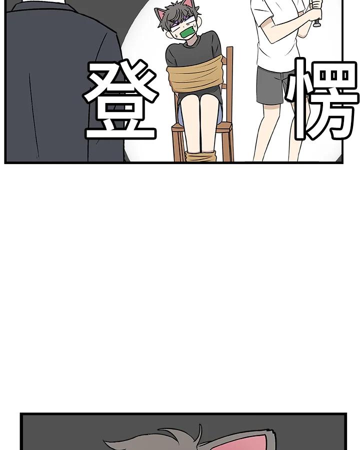 《喵星人管家》第31话 失忆 第29页