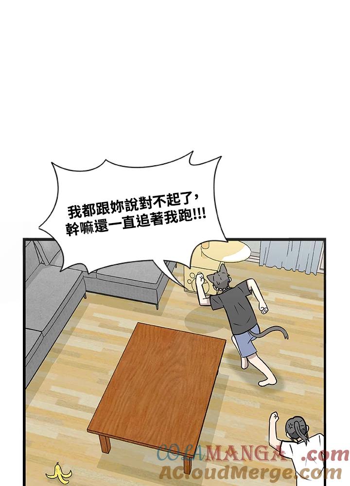 《喵星人管家》第31话 失忆 第4页