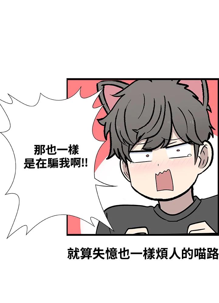 《喵星人管家》第32话 失忆(2) 第17页