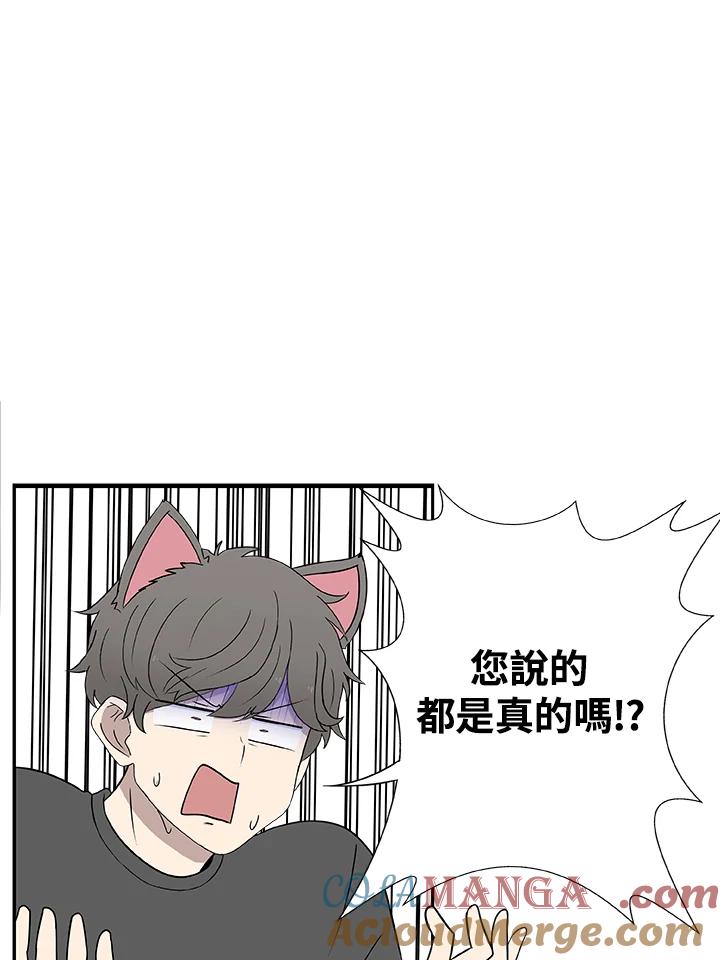 《喵星人管家》第32话 失忆(2) 第31页