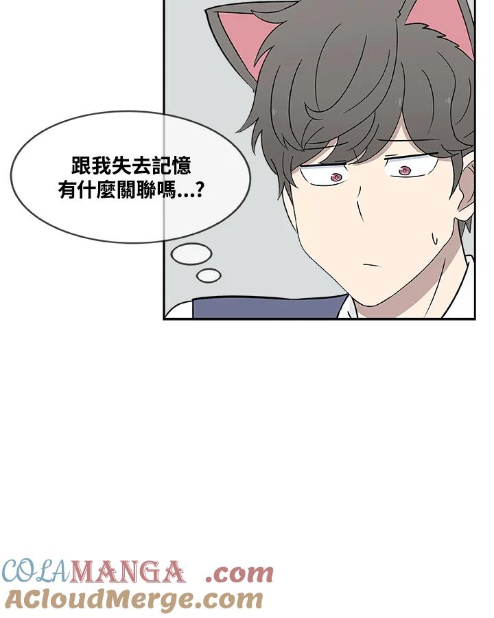 《喵星人管家》第33话 失忆(3) 第40页