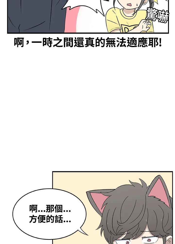 《喵星人管家》第33话 失忆(3) 第5页