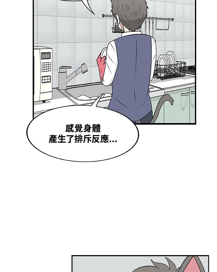 《喵星人管家》第33话 失忆(3) 第39页