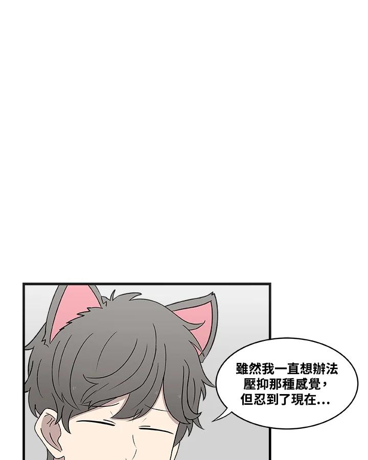 《喵星人管家》第34话 喵路长眠 第18页