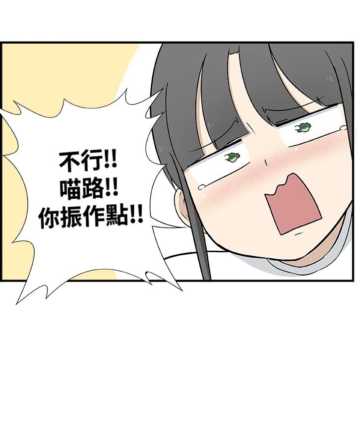 《喵星人管家》第34话 喵路长眠 第24页