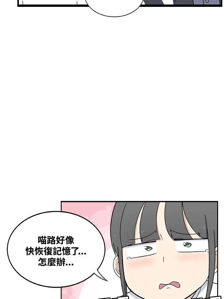 《喵星人管家》第34话 喵路长眠 第26页
