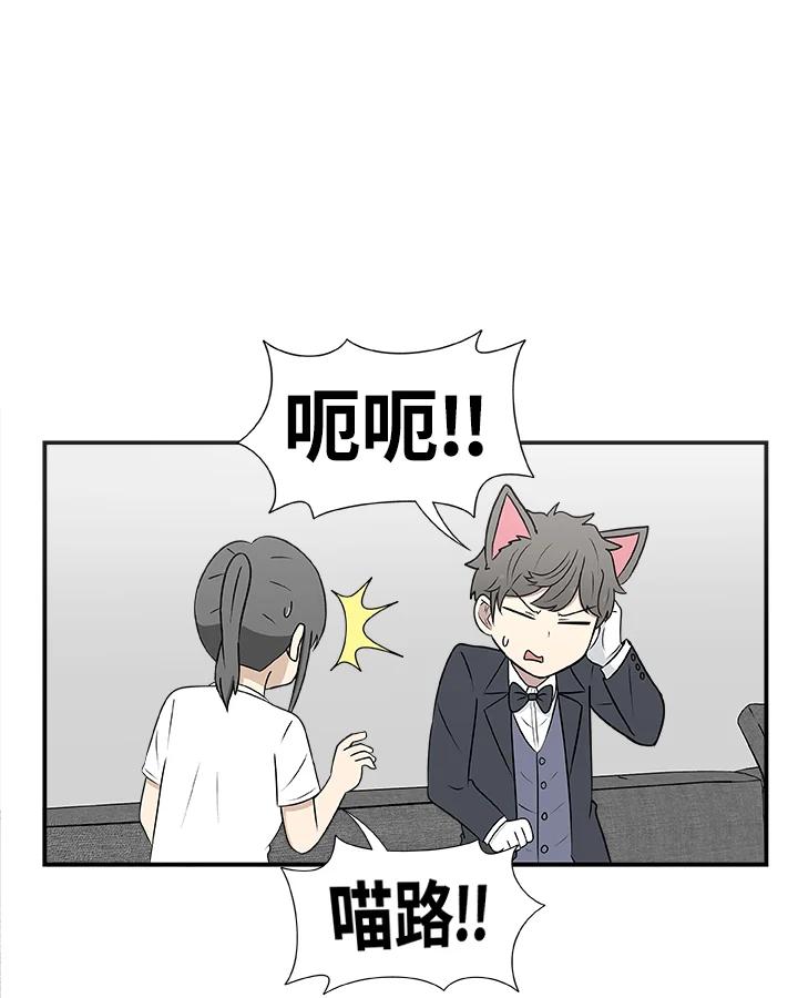 《喵星人管家》第34话 喵路长眠 第21页