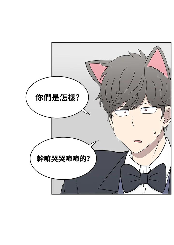《喵星人管家》第34话 喵路长眠 第42页