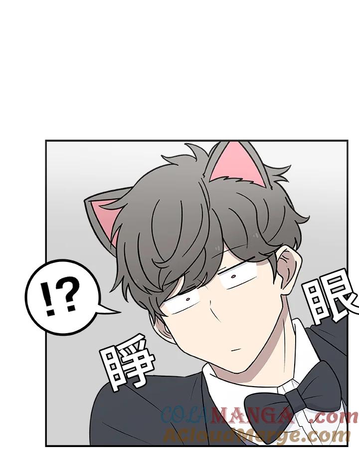 《喵星人管家》第34话 喵路长眠 第37页