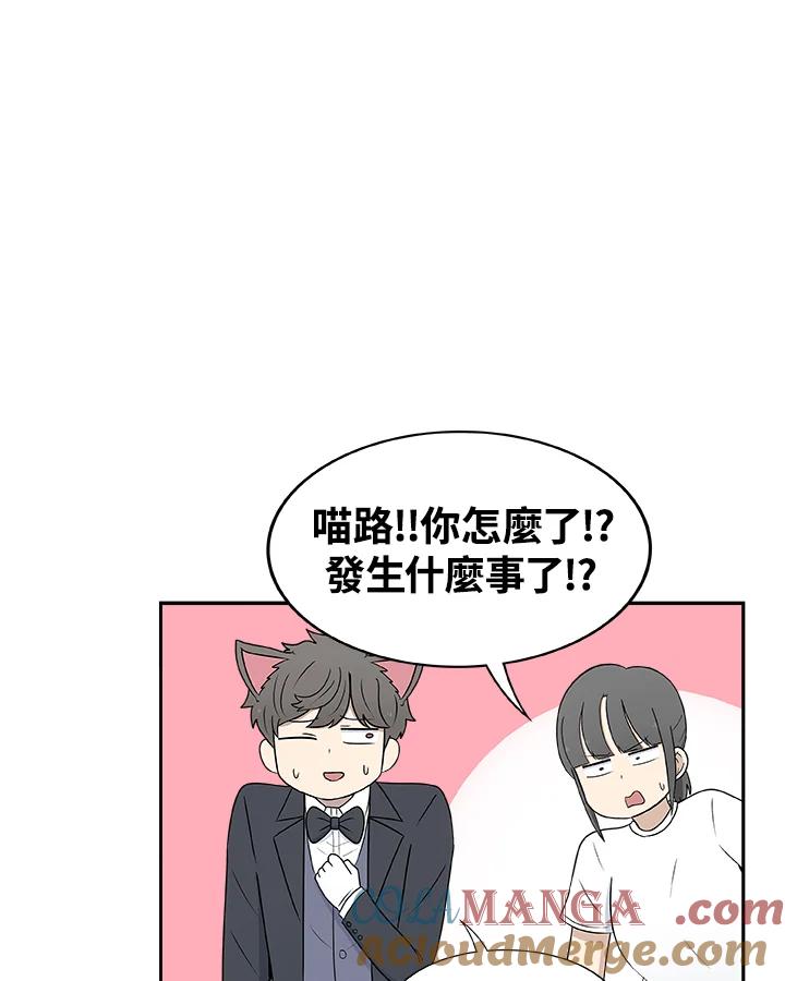 《喵星人管家》第34话 喵路长眠 第10页