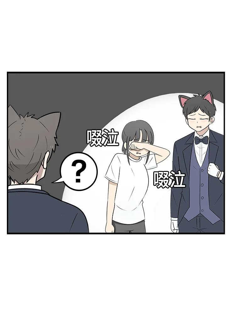 《喵星人管家》第34话 喵路长眠 第41页