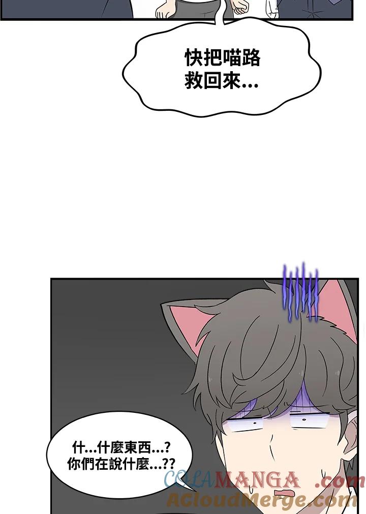 《喵星人管家》第34话 喵路长眠 第46页