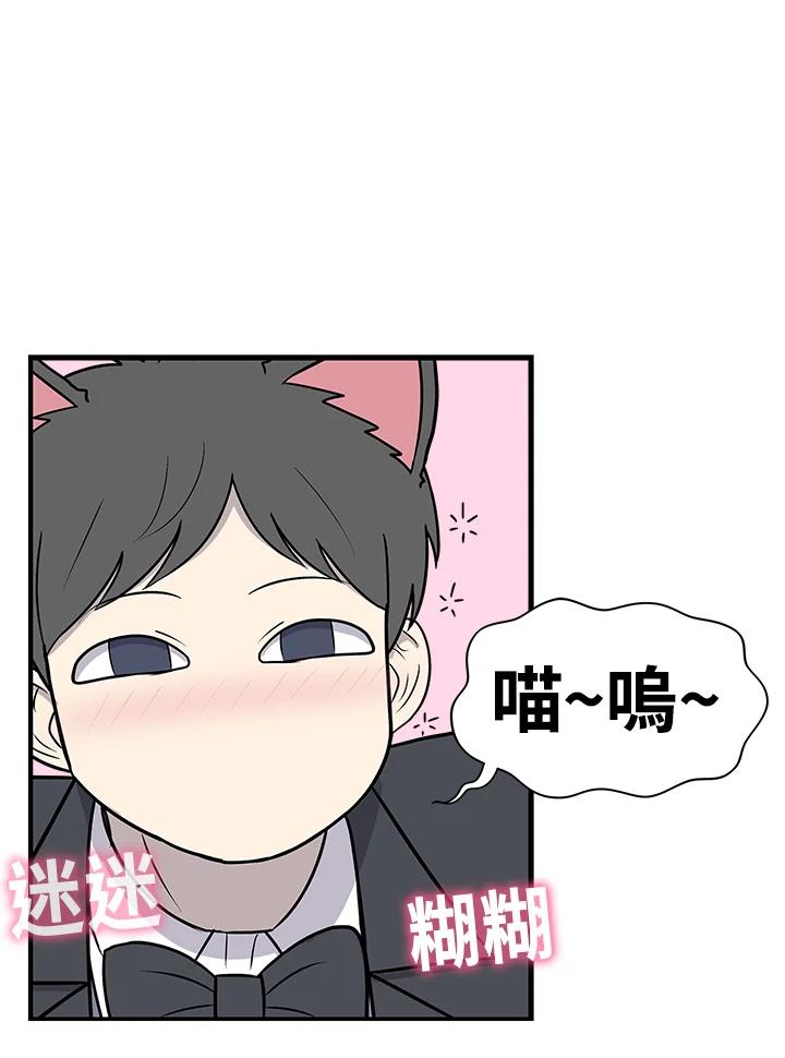 《喵星人管家》第35话 耍酒疯 第39页