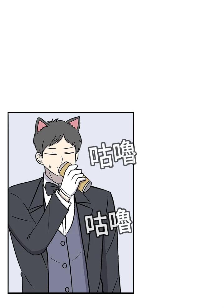 《喵星人管家》第35话 耍酒疯 第32页