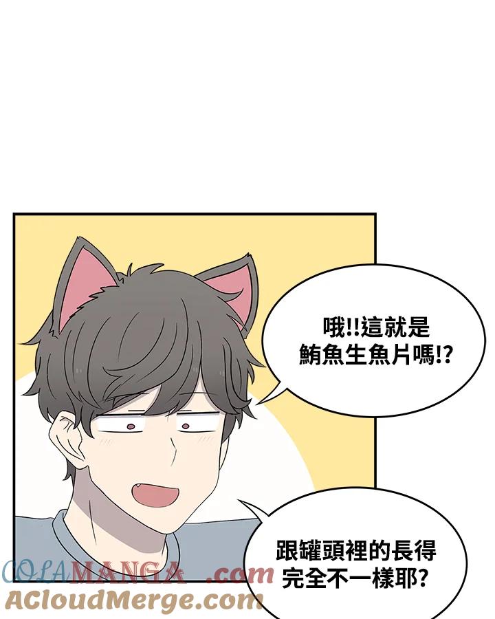 《喵星人管家》第35话 耍酒疯 第10页