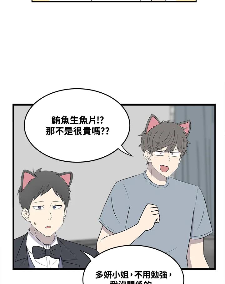 《喵星人管家》第35话 耍酒疯 第3页