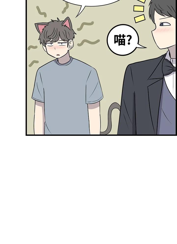 《喵星人管家》第36话 耍酒疯(2) 第17页