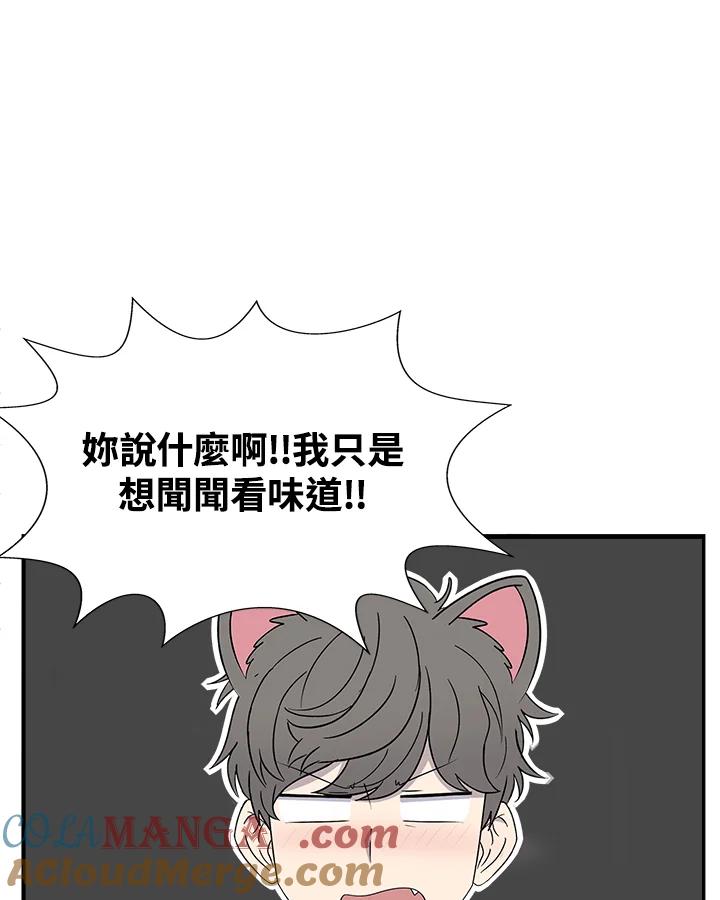 《喵星人管家》第37话 零食 第27页
