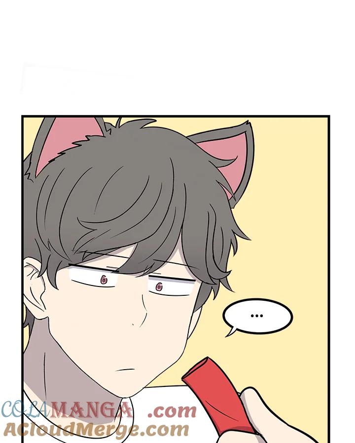 《喵星人管家》第37话 零食 第23页