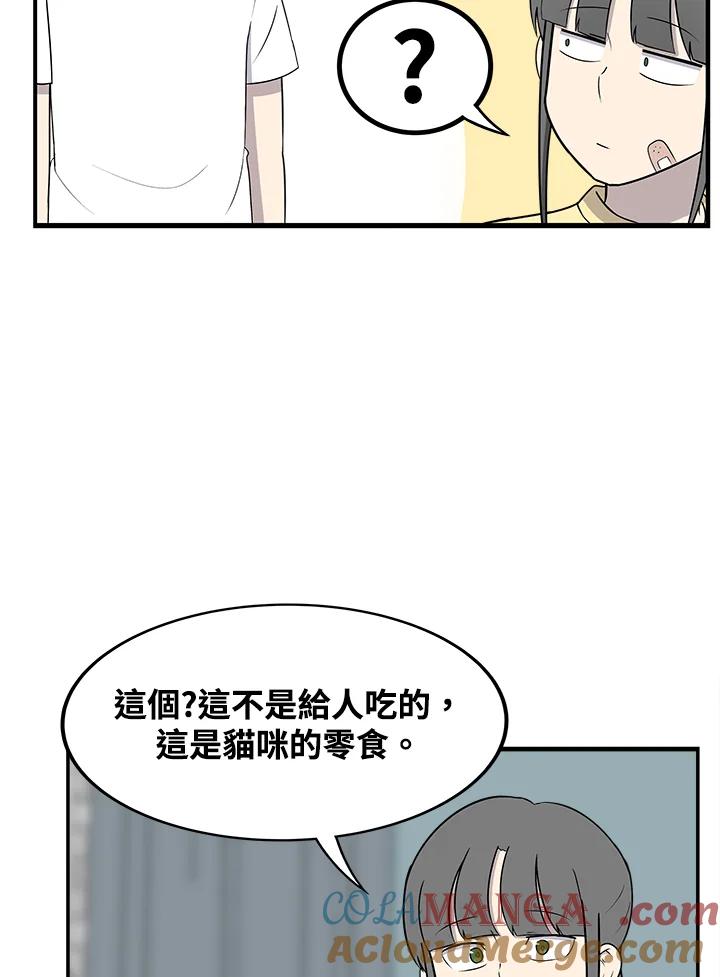 《喵星人管家》第37话 零食 第19页