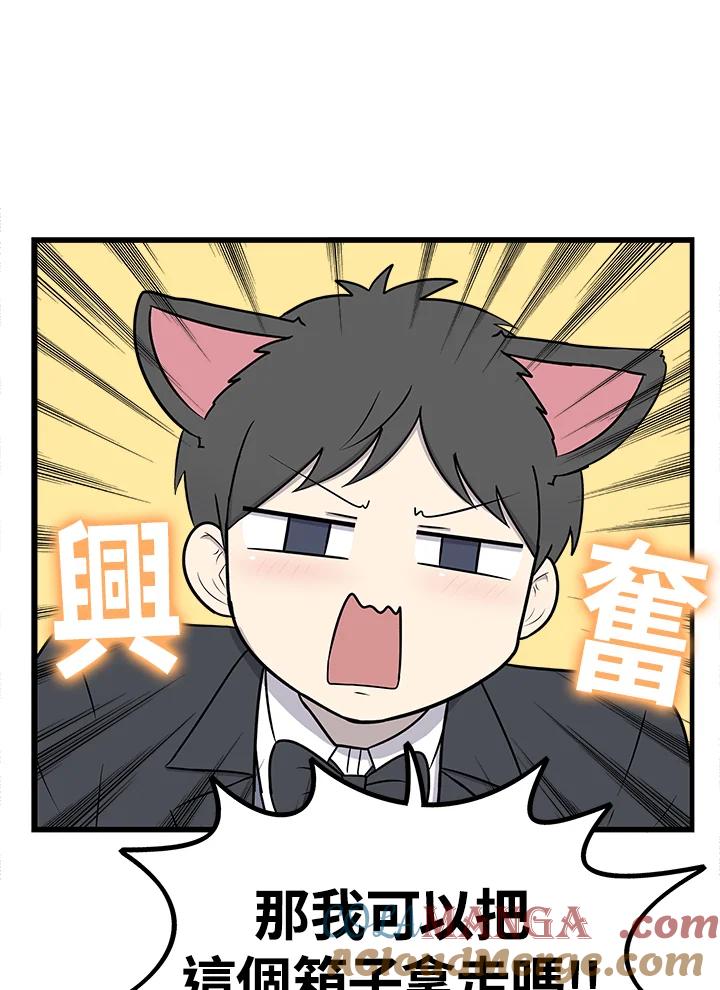 《喵星人管家》第44话 箱子(1) 第13页
