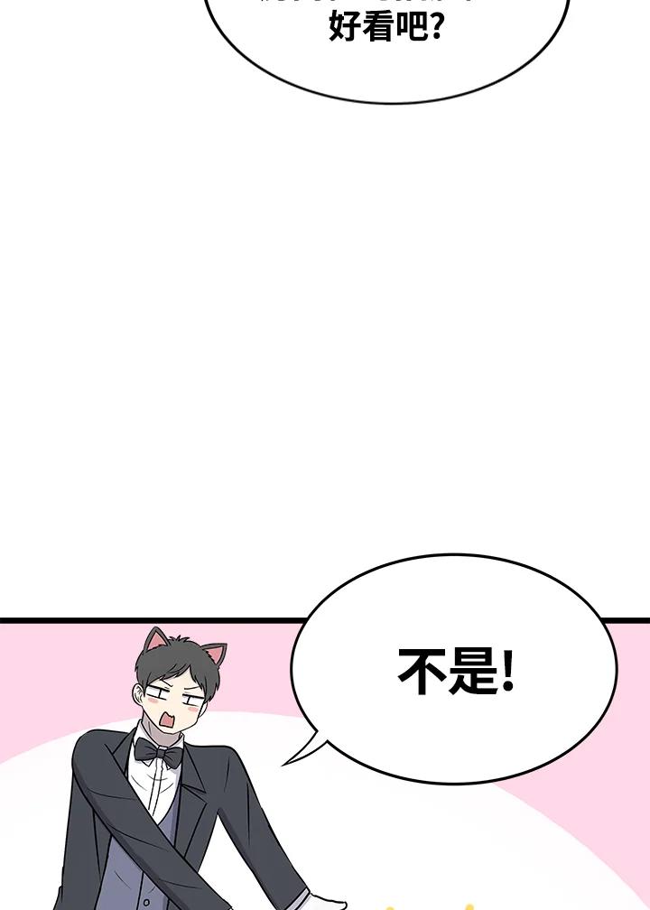 《喵星人管家》第44话 箱子(1) 第8页
