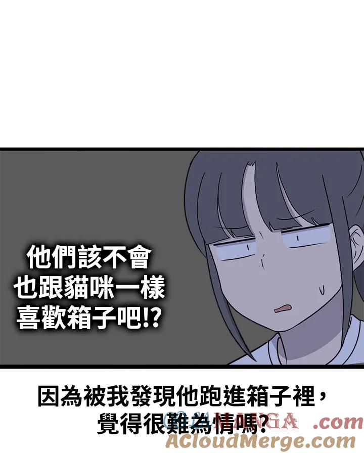 《喵星人管家》第44话 箱子(1) 第31页