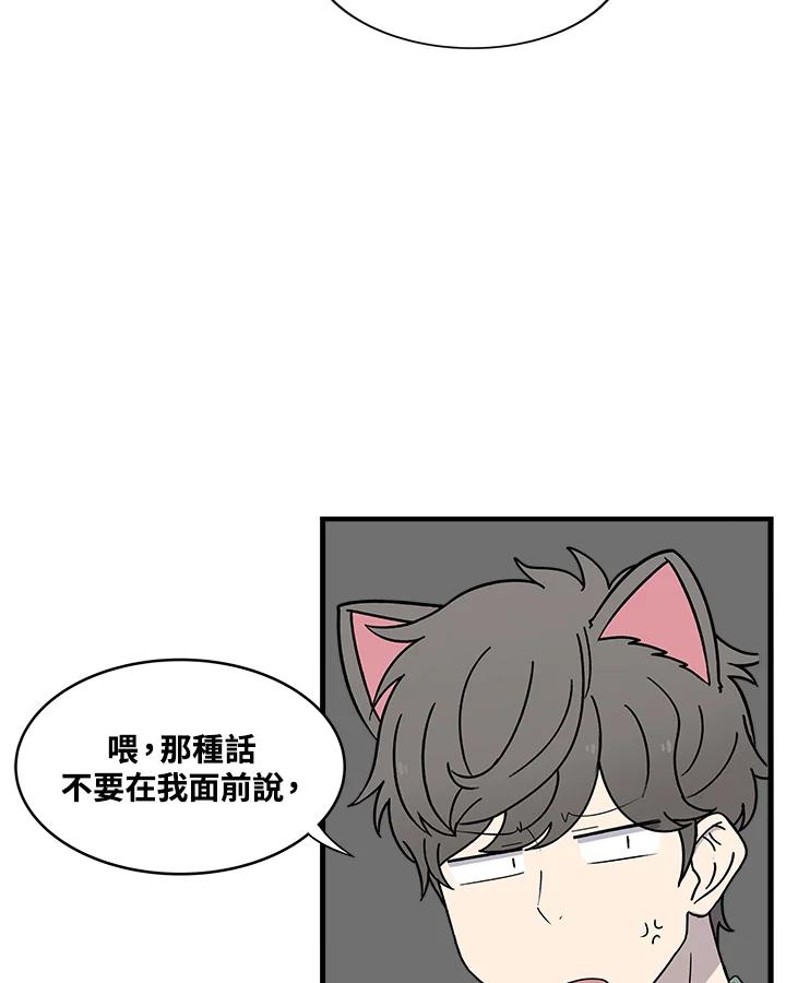 《喵星人管家》第44话 箱子(1) 第36页