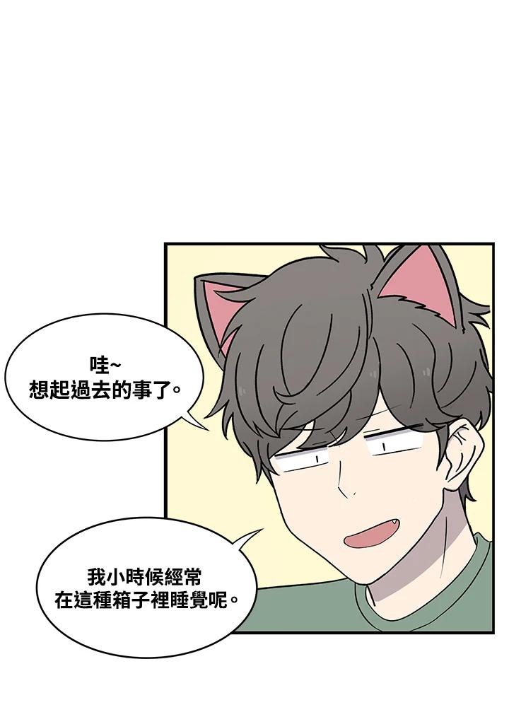 《喵星人管家》第44话 箱子(1) 第42页