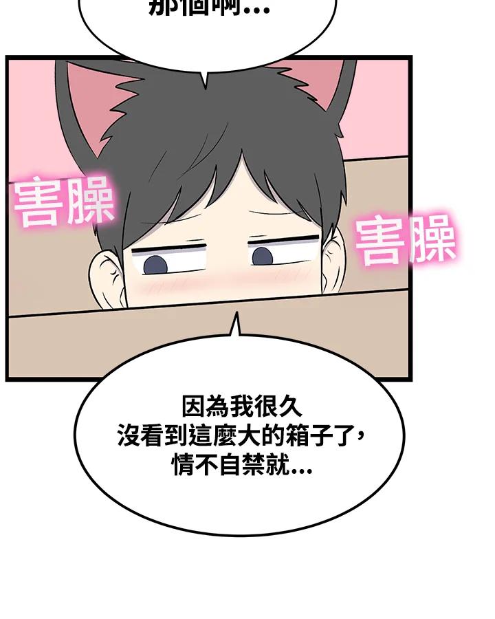 《喵星人管家》第44话 箱子(1) 第30页