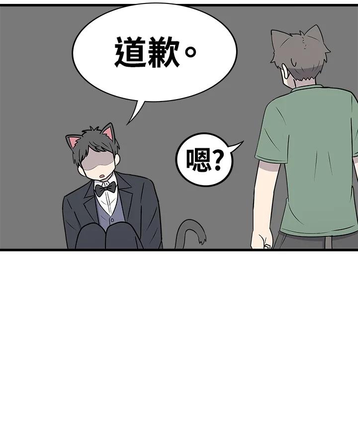 《喵星人管家》第45话 箱子(2) 第12页