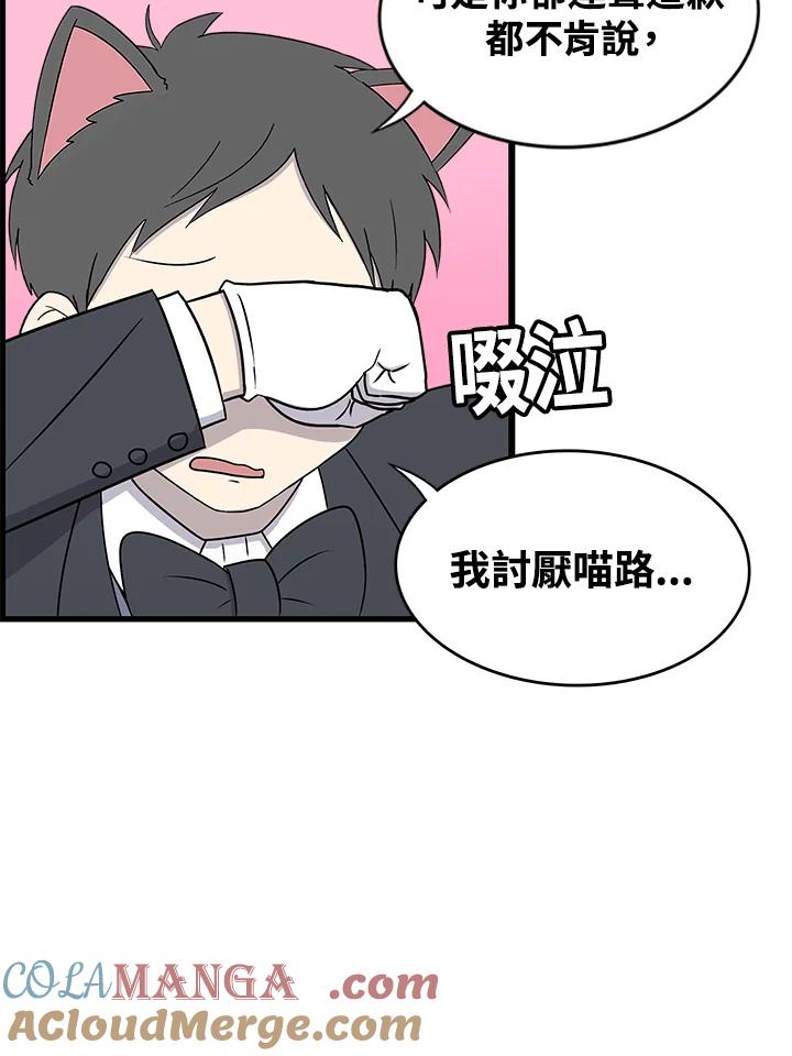 《喵星人管家》第45话 箱子(2) 第40页