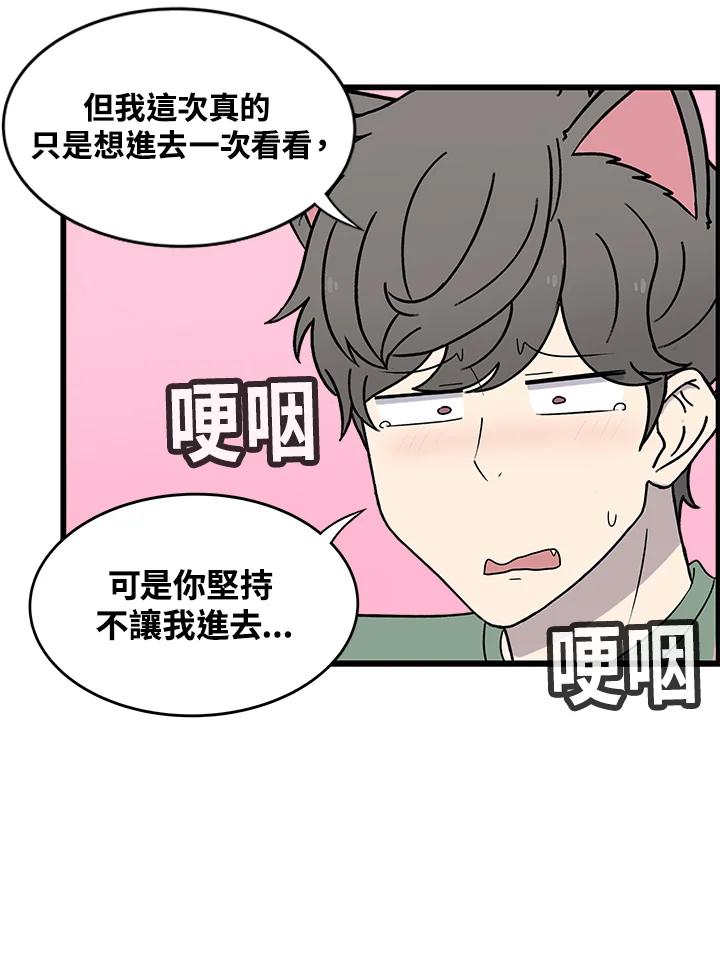 《喵星人管家》第45话 箱子(2) 第42页