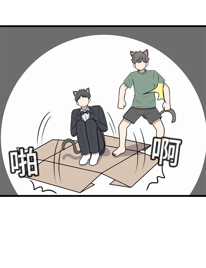 《喵星人管家》第45话 箱子(2) 第9页