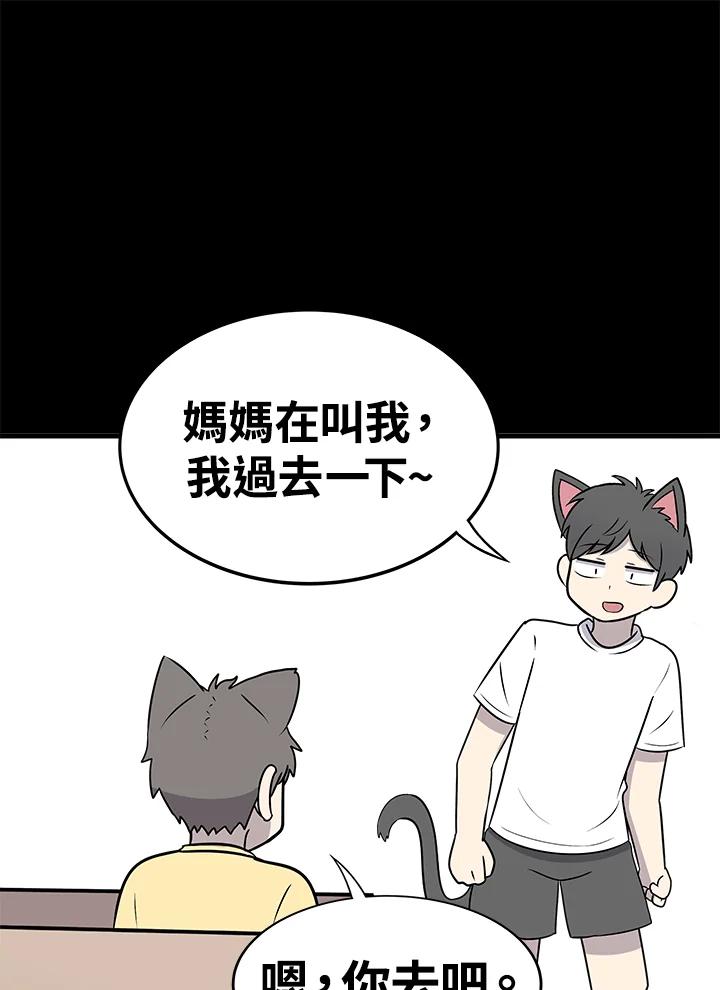 《喵星人管家》第45话 箱子(2) 第26页