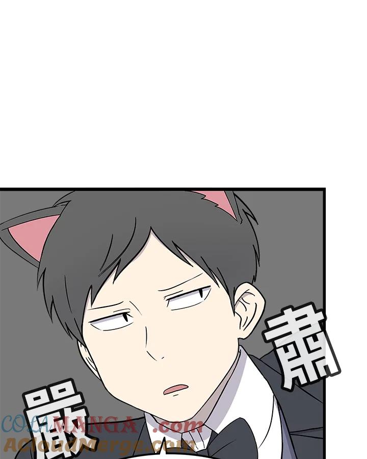 《喵星人管家》第45话 箱子(2) 第13页
